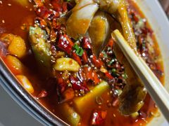 -雲蜀龙阁·金牌水煮鱼(方庄店)