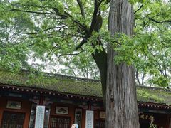 -少华山国家森林公园