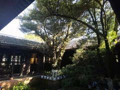 -八大山人梅湖景区