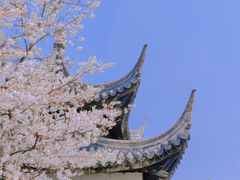 -苏州上方山国家森林公园