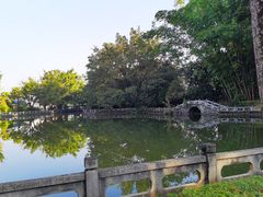 -云南勐巴娜西珍奇园