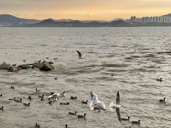 -深圳湾公园(南山区)