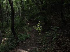 -雾灵西峰