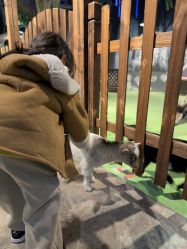 -酷嗒动物文化乐园(cutezoo西溪乐天城店)