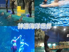 -威海华夏城景区