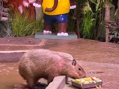 -正佳雨林生态植物园