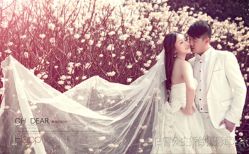 点击看大图 -白雪公主婚纱摄影