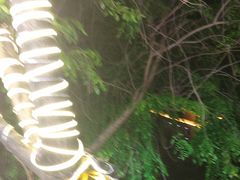 -范饭椰林川湘味海鲜·椰子鸡(三亚湾椰梦长廊店)