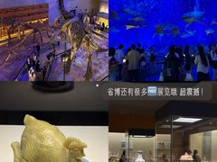 -广东省博物馆