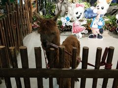 -开元商城(西旺店)