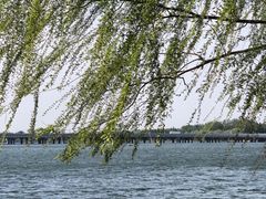 -丁香湖公园