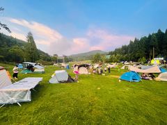 -武陵山森林公园