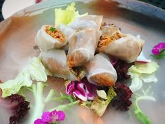 香草真菌米卷-梧桐餐厅(泉城路店)