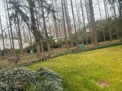 -上海怡沁园度假酒店