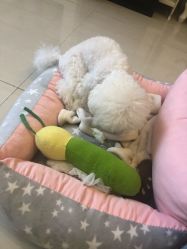 -肌理言健康美肌驻颜所