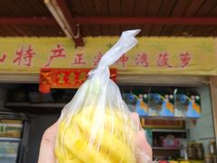 神湾菠萝-南沙十九涌渔人码头-南门