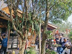 -青城甲(青城山店)