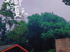 -黄埔荔枝公园