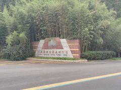 -日照海滨国家森林公园