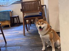 -三目仓咖啡(贤南路店)