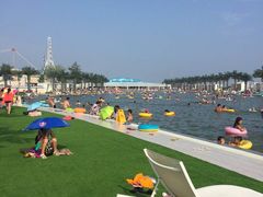 -秦皇岛乐岛海洋王国