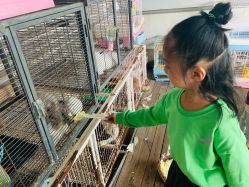 -小蜜蜂农场(凯德七宝购物广场店)