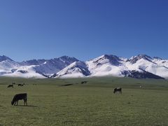-新疆那拉提国家旅游度假区