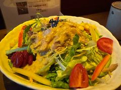 -鸟泉居酒屋·烧鸟·酒馆(百子湾店)