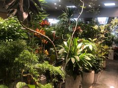-双季花艺园艺市场(浦东店)
