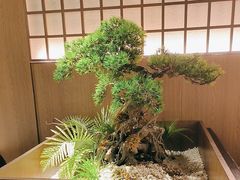 -湘邻呷铺·田园家宴(汉基广场店)