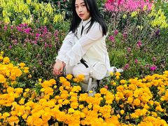 -秀丽东方