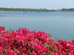 -露天矿生态公园