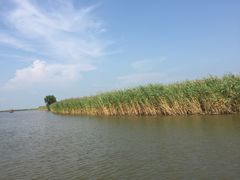 -红海滩国家风景廊道