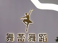 -舞蕾舞蹈(特长生校区)