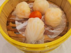 -潮江春(阳光店)