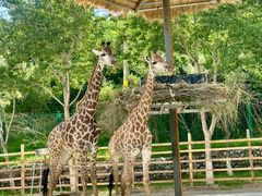 -水上乐园·欢乐世界