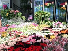-双季花艺园艺市场(浦东店)
