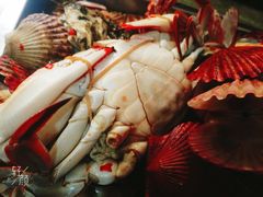 -晓伟海鲜家常菜