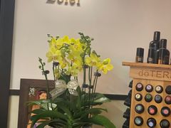 -Angkor SPA 柬埔寨古法按摩(环贸店)