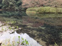 -西湖风景区十里琅珰-五云山