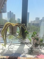 -创立颜痘肌皮肤管理中心