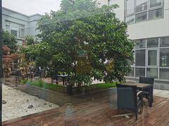 -上海第二工业大学(金海路校区)