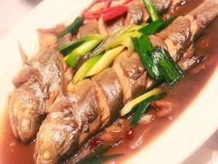 -鑫悦楼煎蟹·16年海鲜大排档