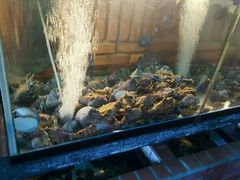 -越海渔村