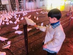 -绵阳人民公园(涪城区)