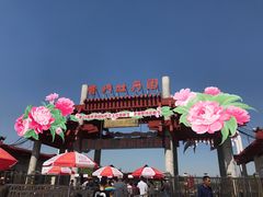 -曹州牡丹园