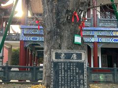 -章华寺