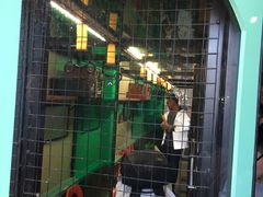 -猫咪博物馆(顶澳仔猫街店)