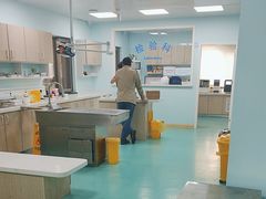 -北京观赏动物医院·24小时大型综合·猫专科·异宠专科