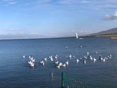 -青海湖国家重点风景名胜区